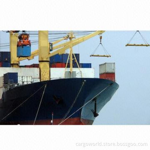 Professional Freight Forwarder